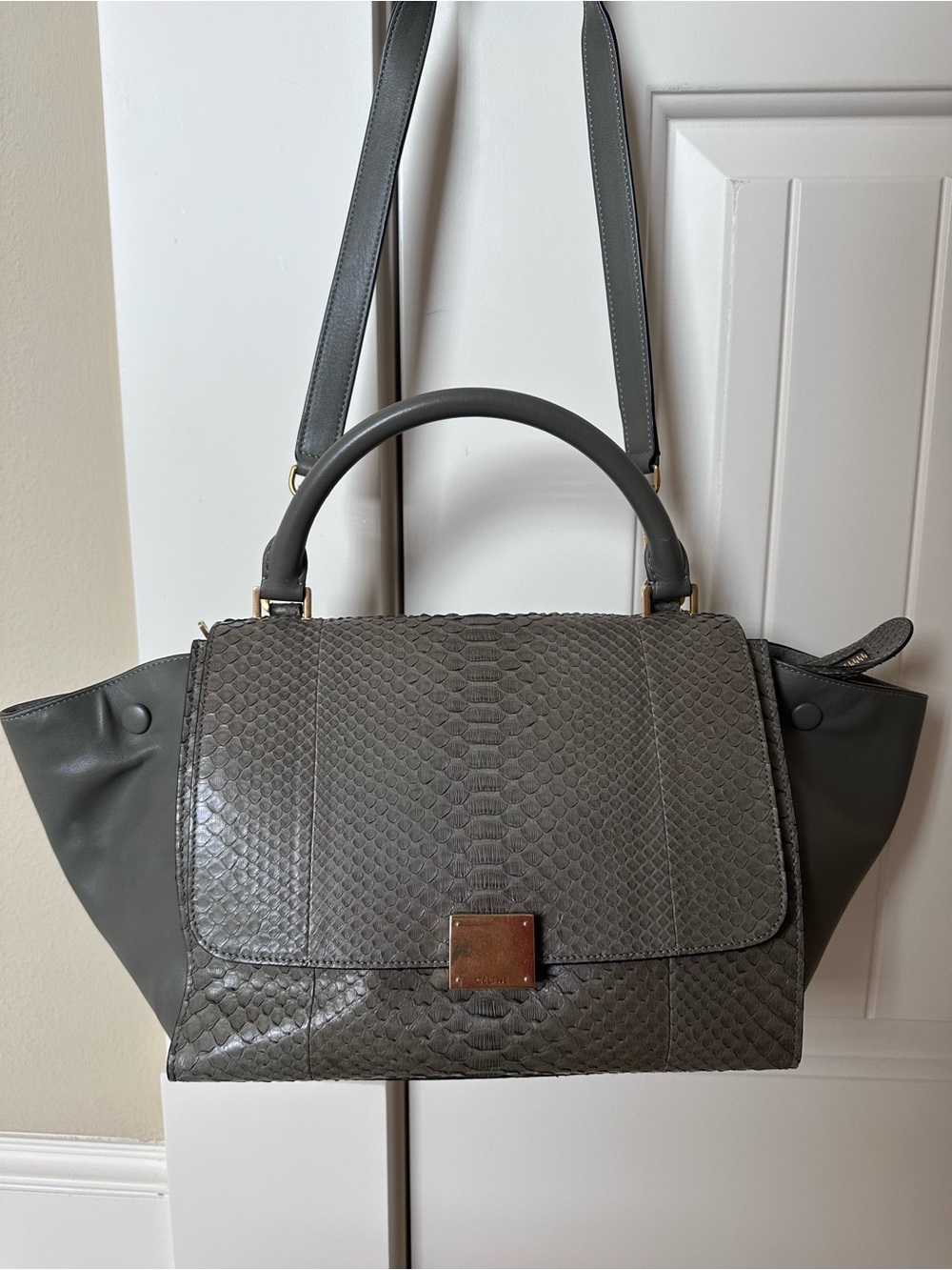 Celine Trapeze Handbag in Grey Python NWT